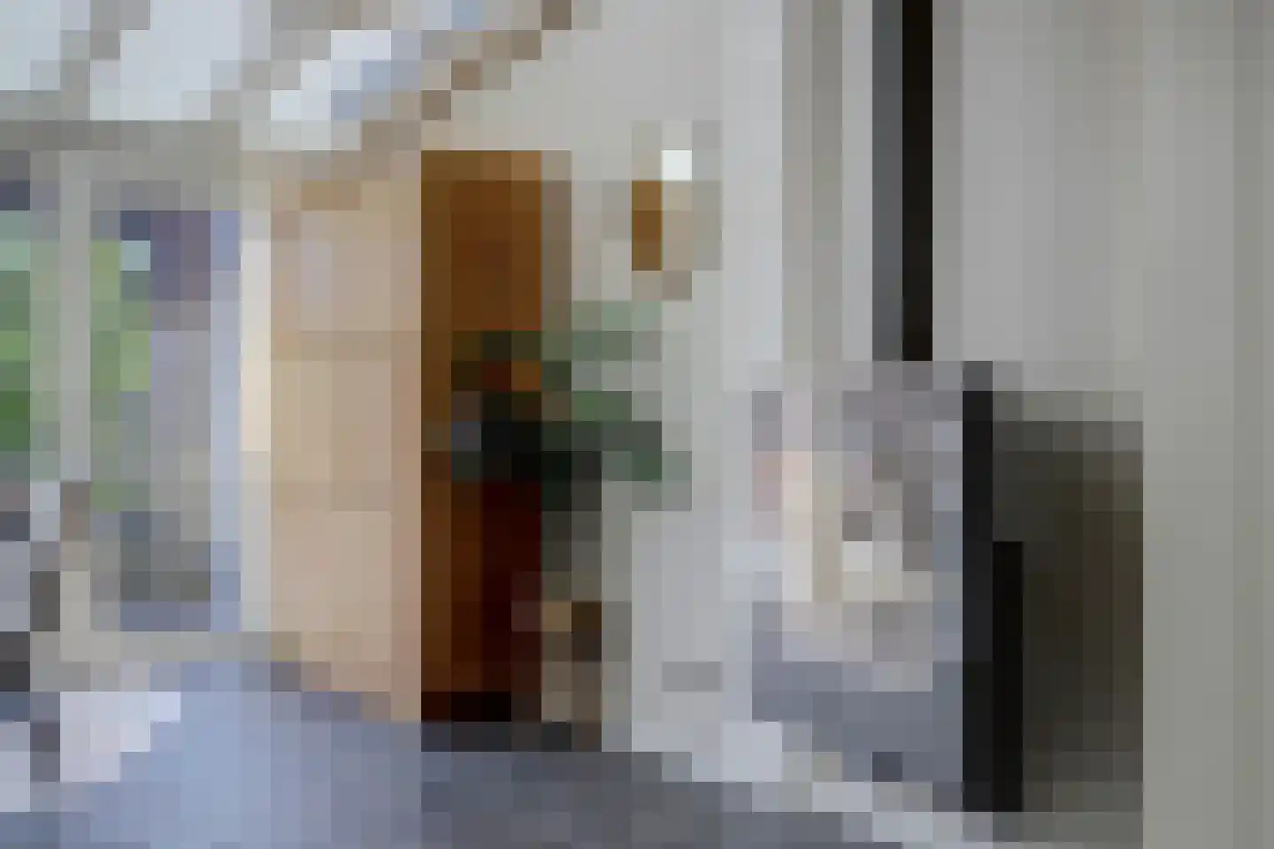 Bremstraat 4 Klaaswaal thumbnail 15