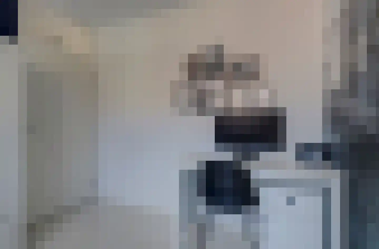 Bremstraat 4 Klaaswaal thumbnail 25