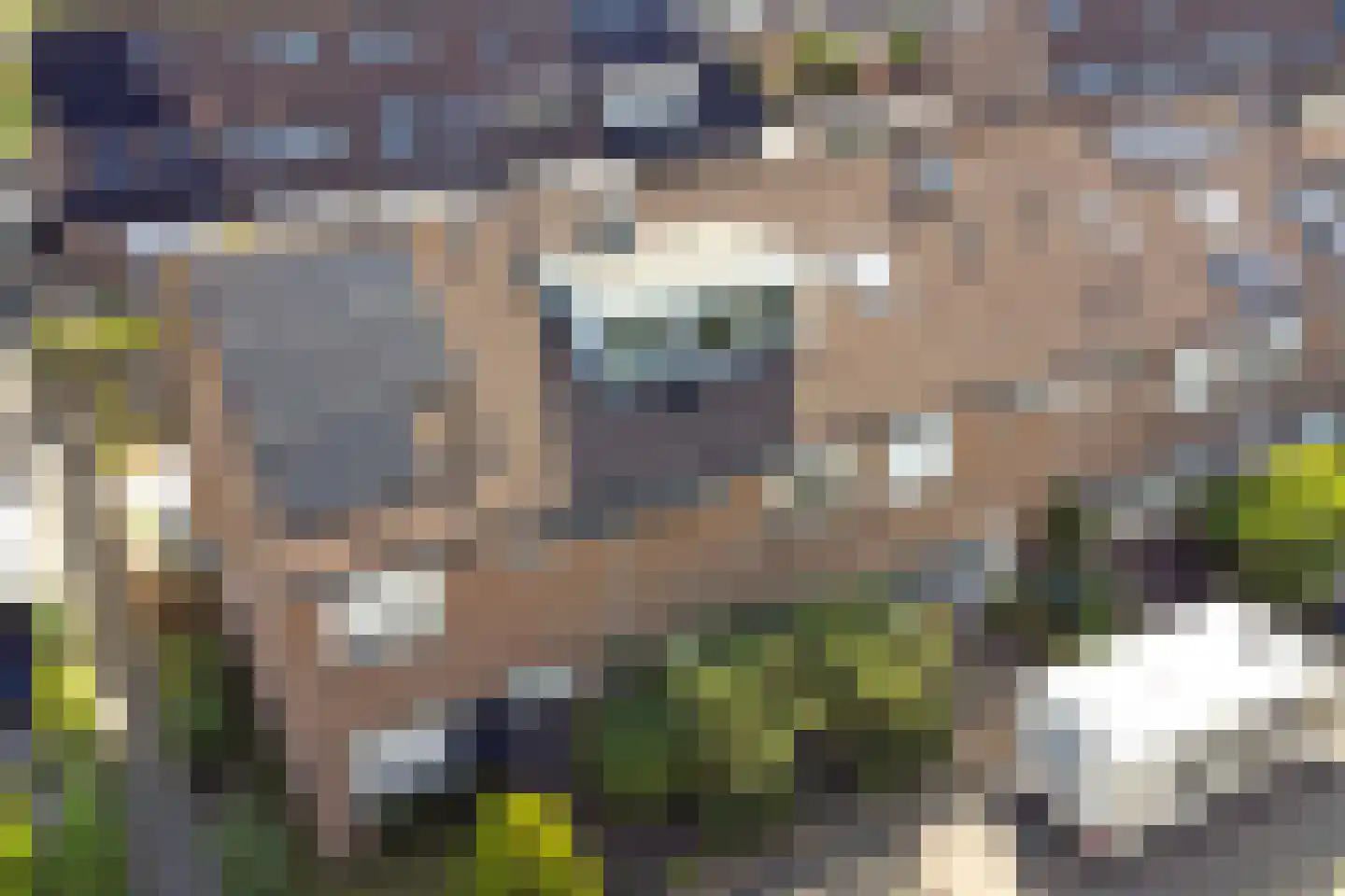 Bremstraat 4 Klaaswaal thumbnail 41