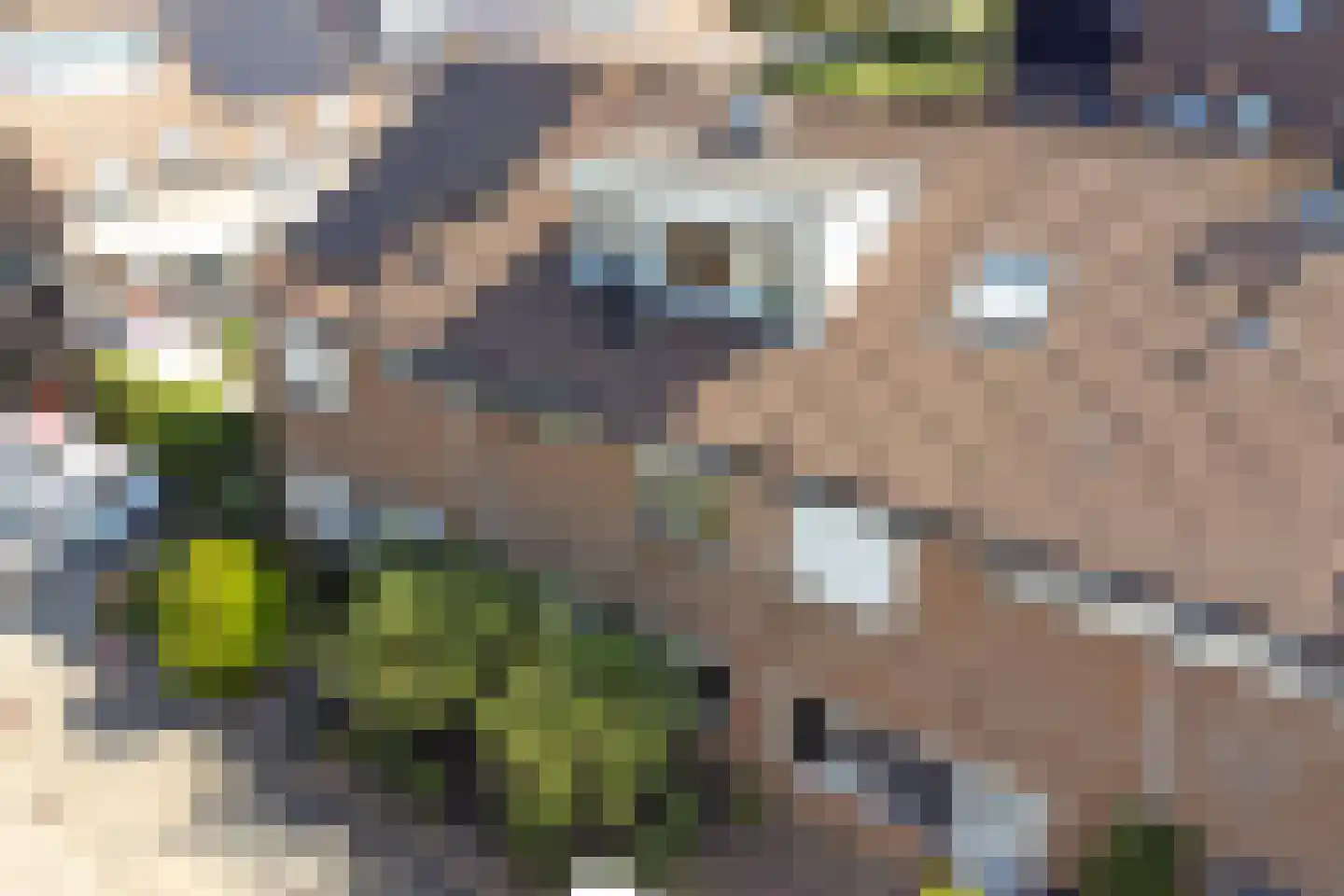 Bremstraat 4 Klaaswaal thumbnail 43