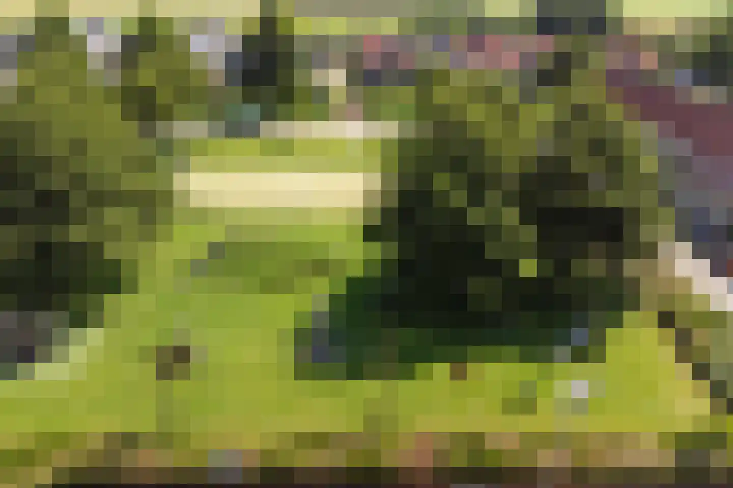 Bremstraat 4 Klaaswaal thumbnail 48