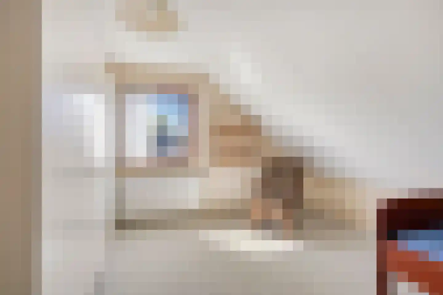 Bremstraat 4 Wolvega thumbnail 15