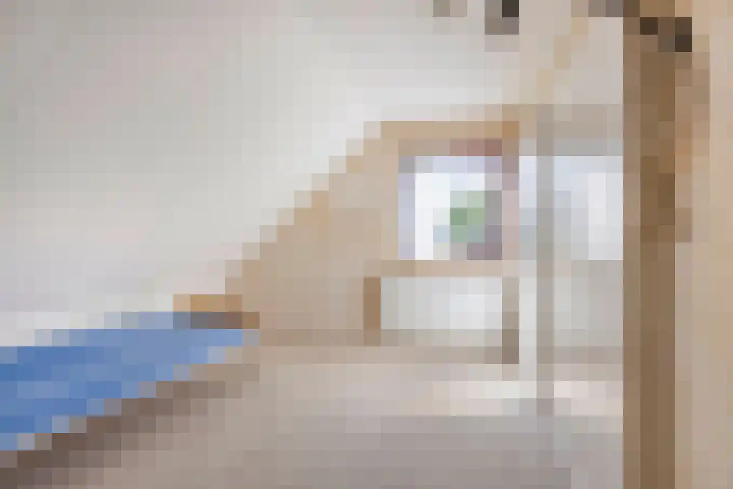 Bremstraat 4 Wolvega thumbnail 17