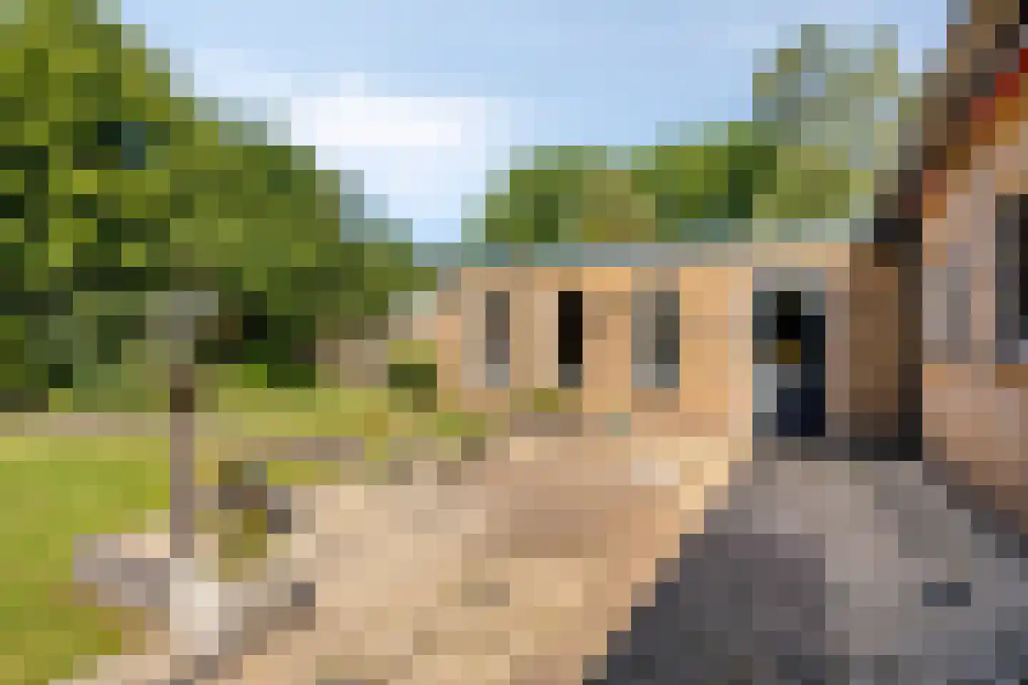 Bremstraat 4 Wolvega thumbnail 25