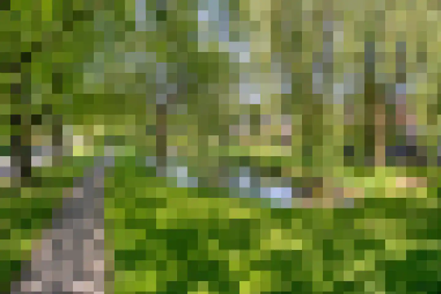 Bremstraat 4 Wolvega thumbnail 33