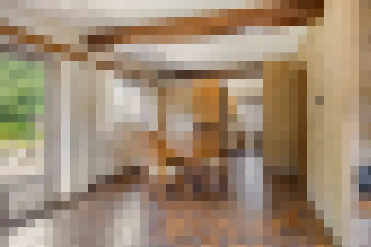 Bremstraat 4 Wolvega thumbnail 5