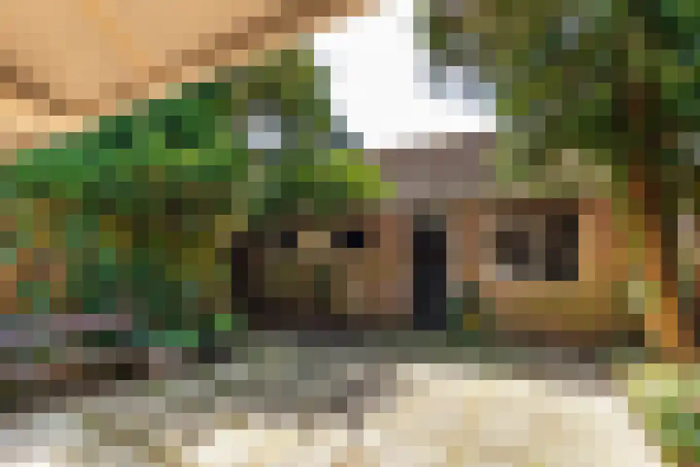 Bremstraat 40 Baarn thumbnail 12