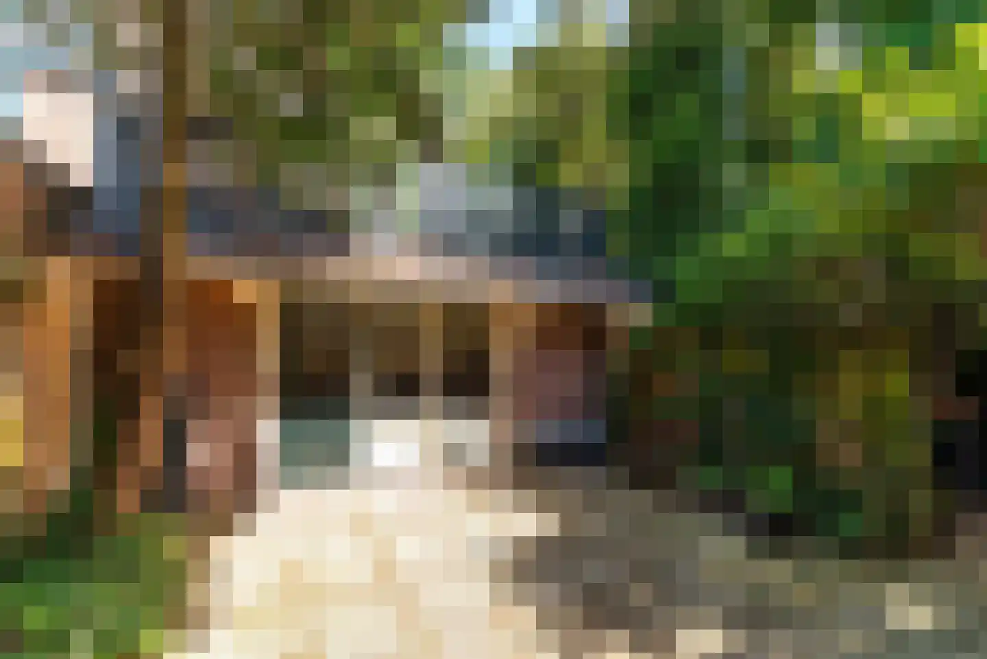 Bremstraat 40 Baarn thumbnail 14