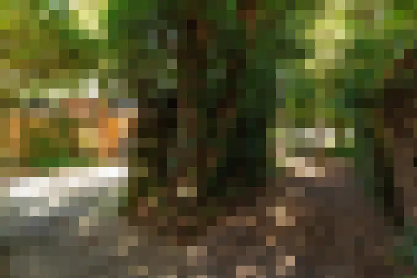 Bremstraat 40 Baarn thumbnail 16