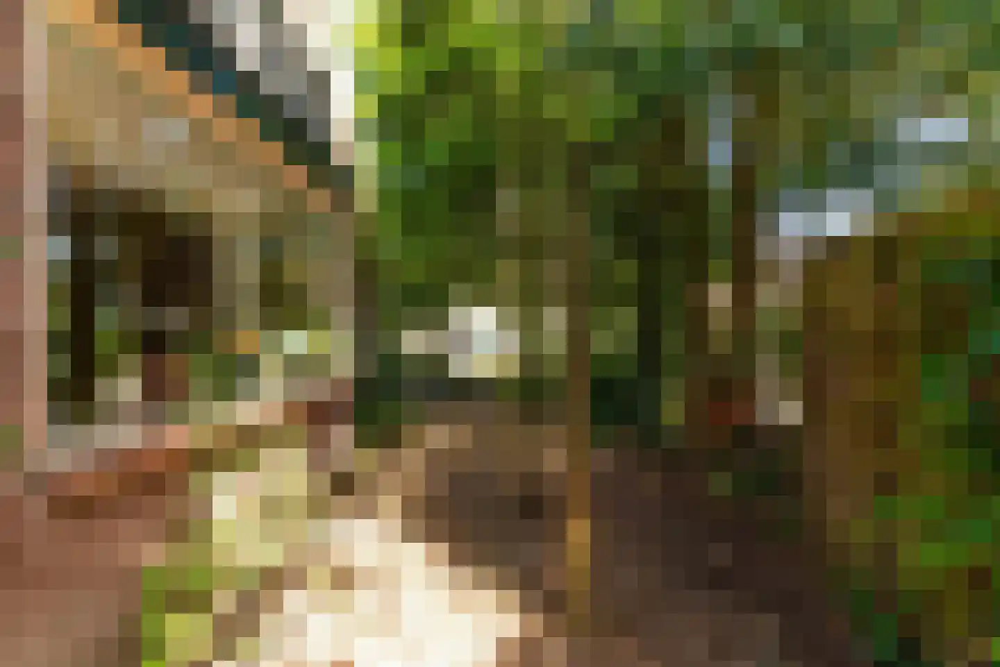 Bremstraat 40 Baarn thumbnail 17