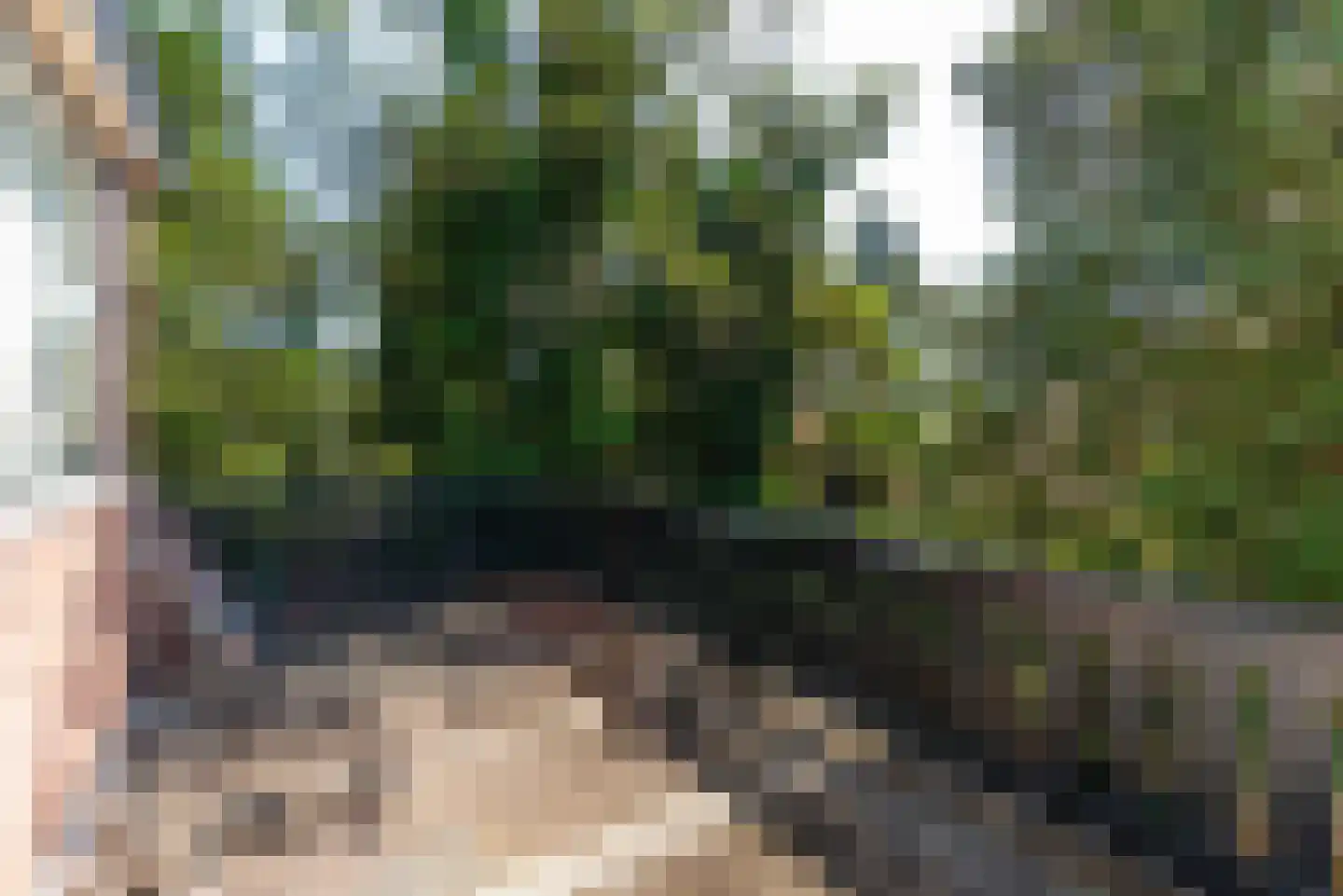 Bremstraat 40 Baarn thumbnail 29