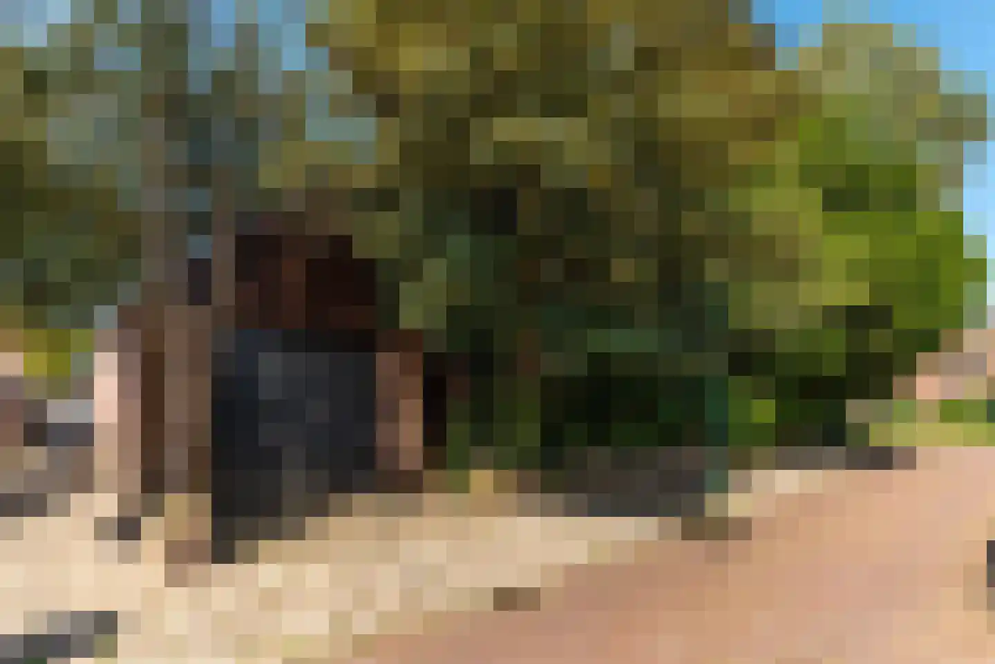 Bremstraat 40 Baarn thumbnail 33