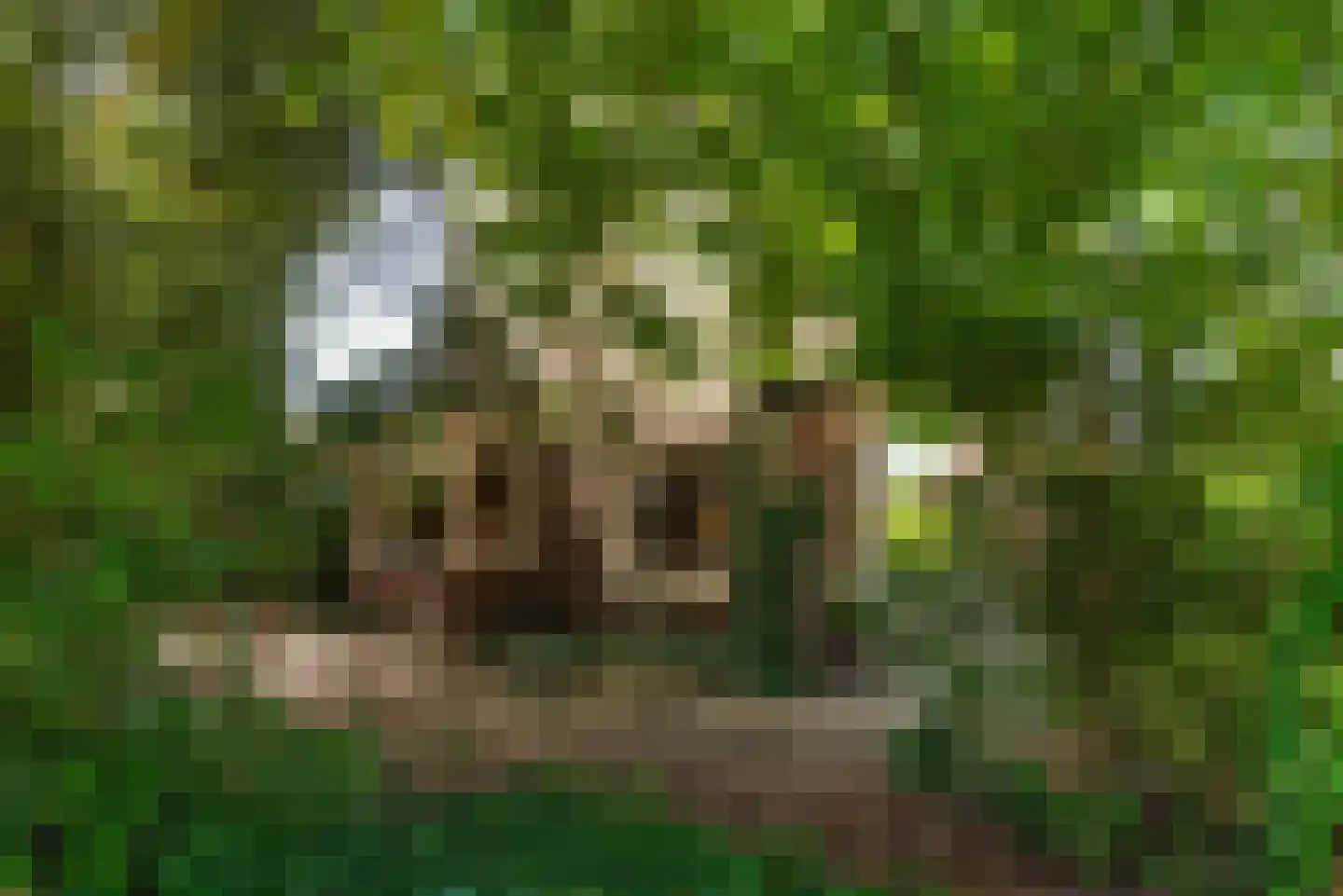 Bremstraat 40 Baarn thumbnail 34
