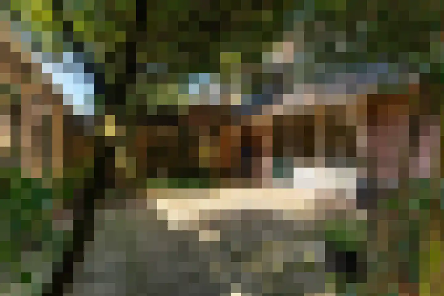 Bremstraat 40 Baarn thumbnail 4