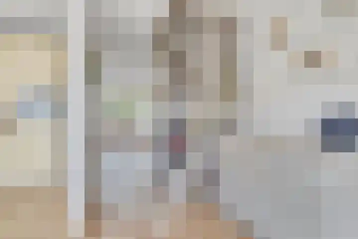 Bremstraat 41 Bovensmilde thumbnail 14