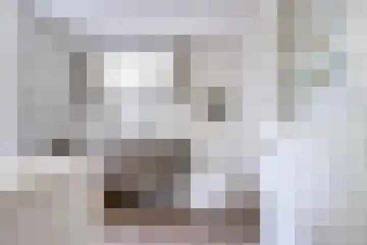 Bremstraat 41 Bovensmilde thumbnail 30