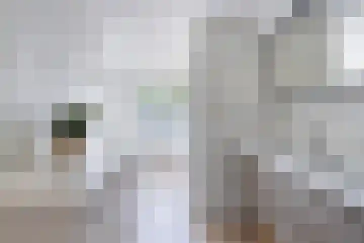 Bremstraat 41 Bovensmilde thumbnail 31