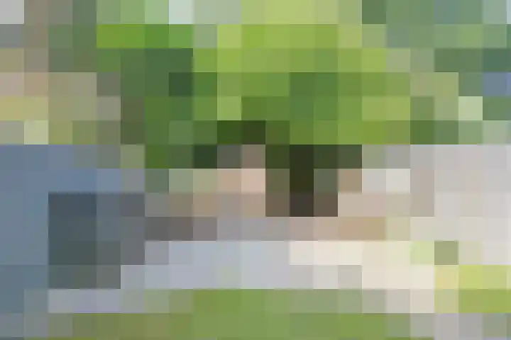 Bremstraat 41 Bovensmilde thumbnail 42