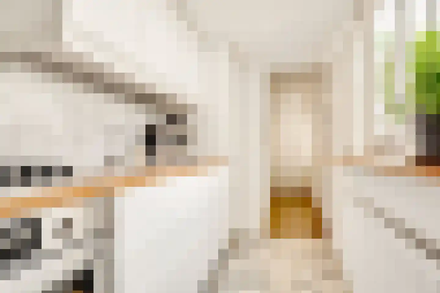 Bremstraat 42 Utrecht thumbnail 13