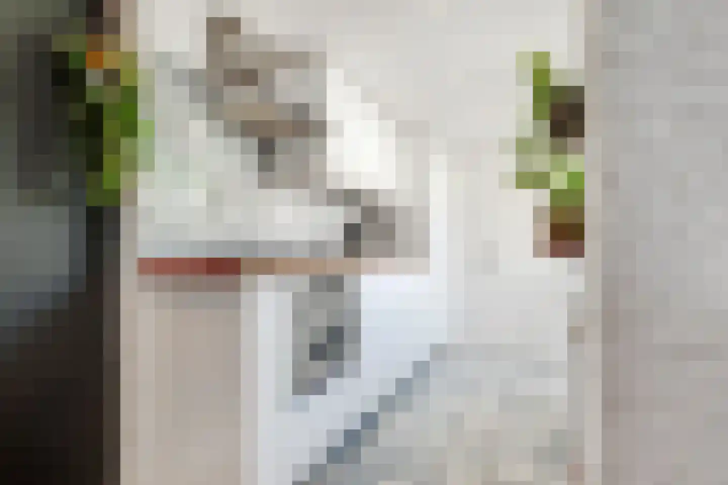 Bremstraat 42 Utrecht thumbnail 16