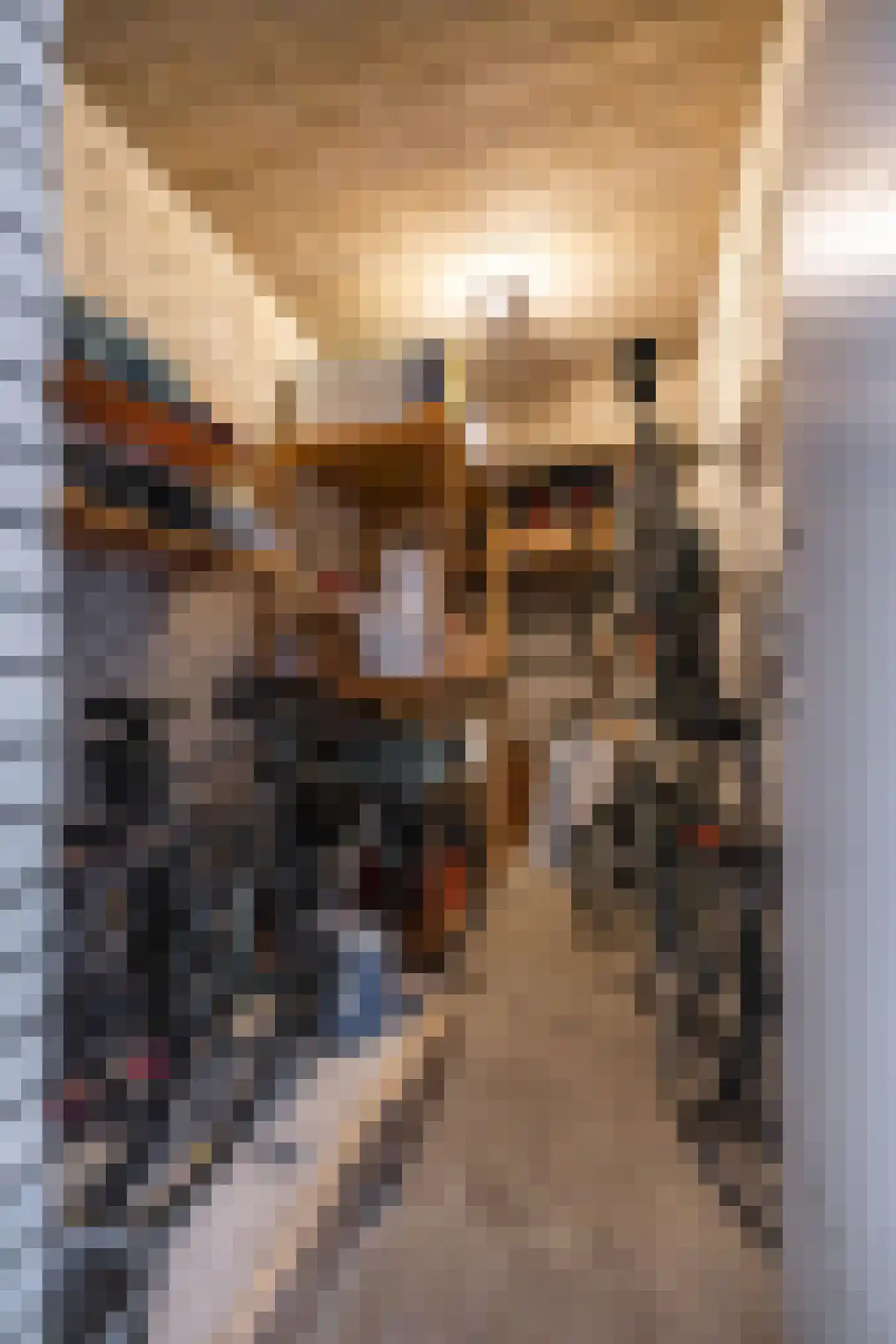 Bremstraat 43 Groningen thumbnail 27