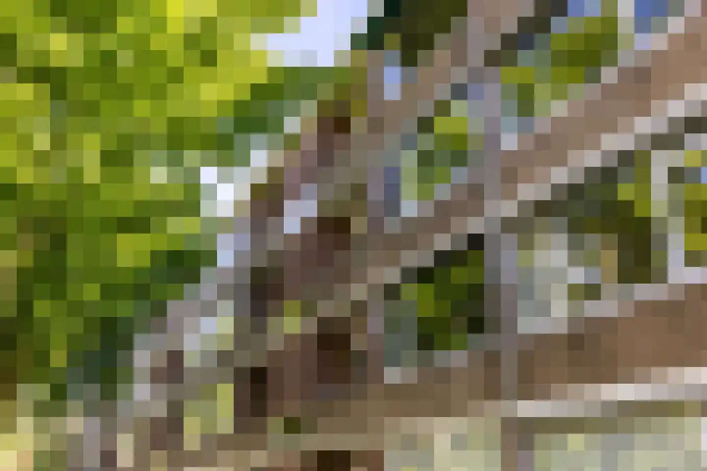 Bremstraat 43 Groningen thumbnail 28