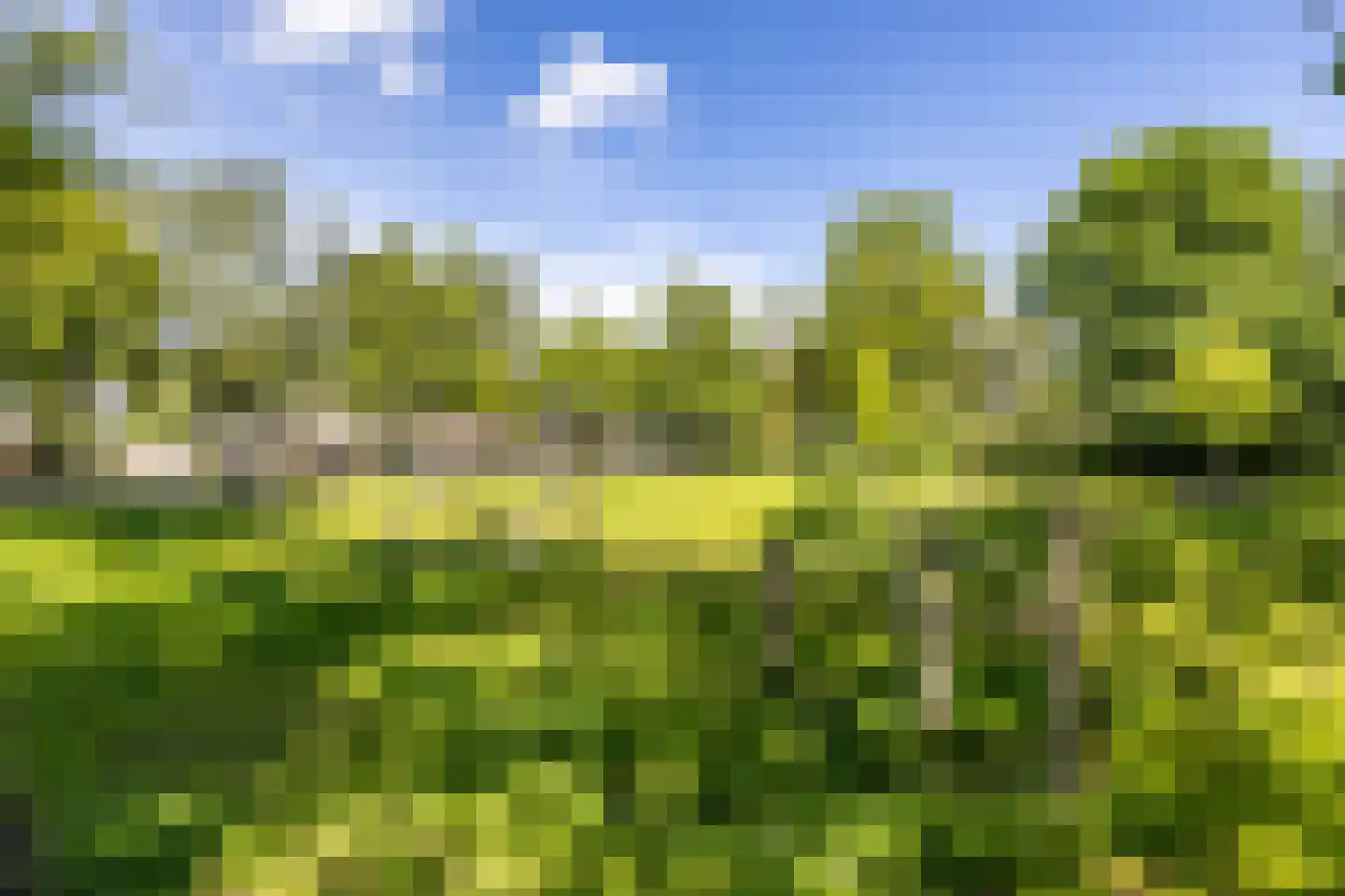 Bremstraat 43 Groningen thumbnail 32