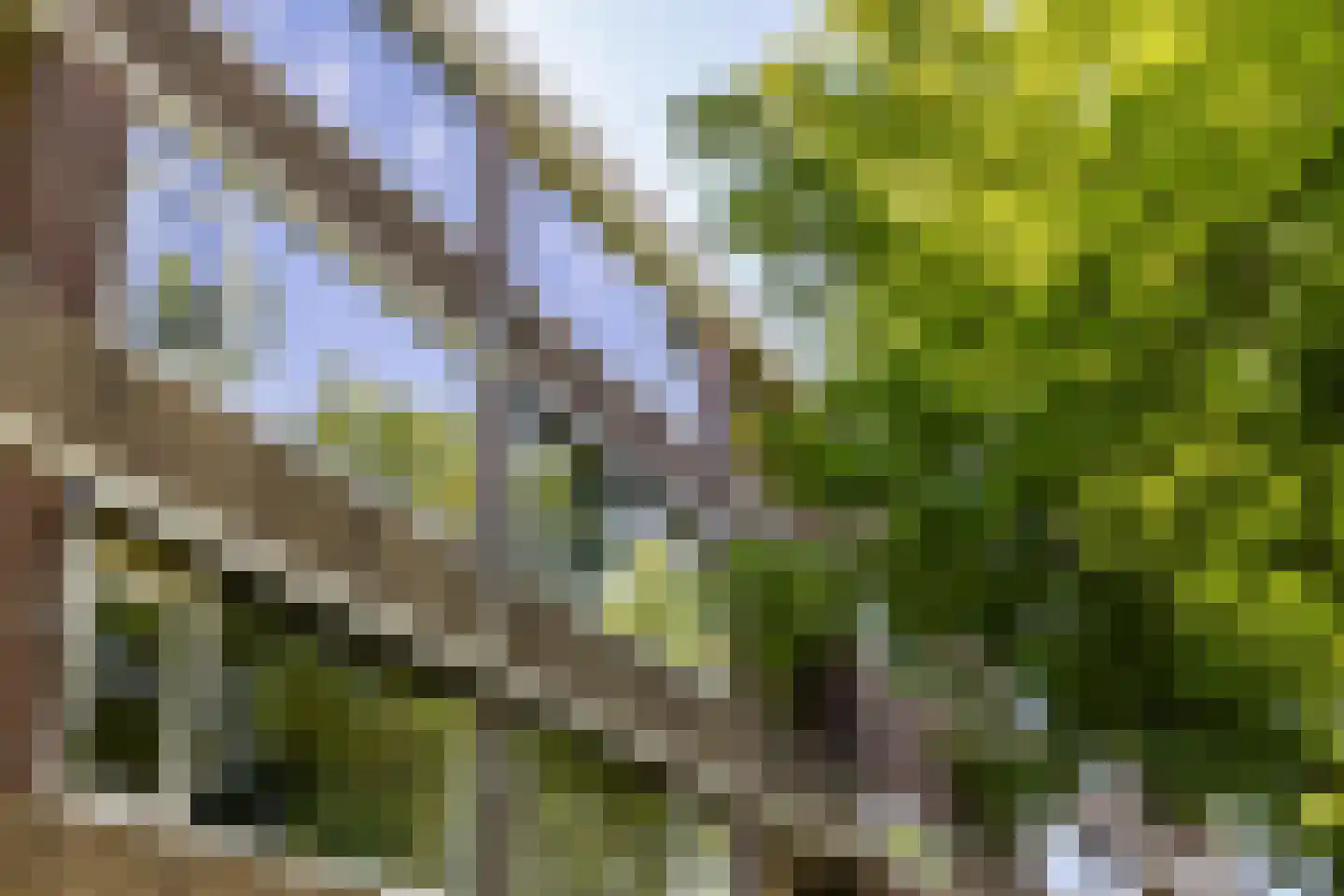 Bremstraat 43 Groningen thumbnail 4
