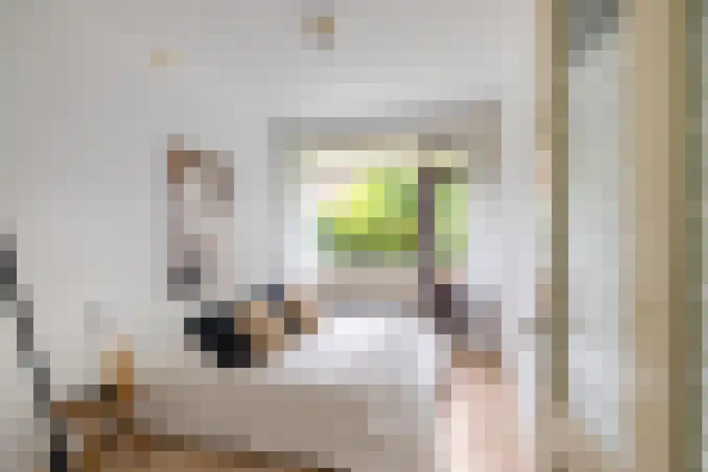 Bremstraat 45 Groningen thumbnail 25