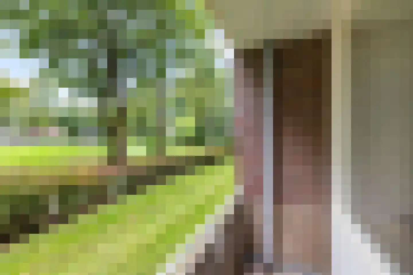 Bremstraat 45 Groningen thumbnail 27