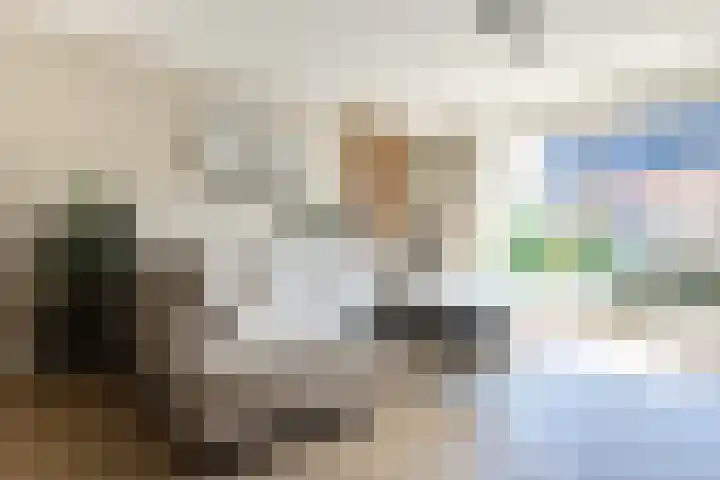Bremstraat 5 Berkel en Rodenrijs thumbnail 10