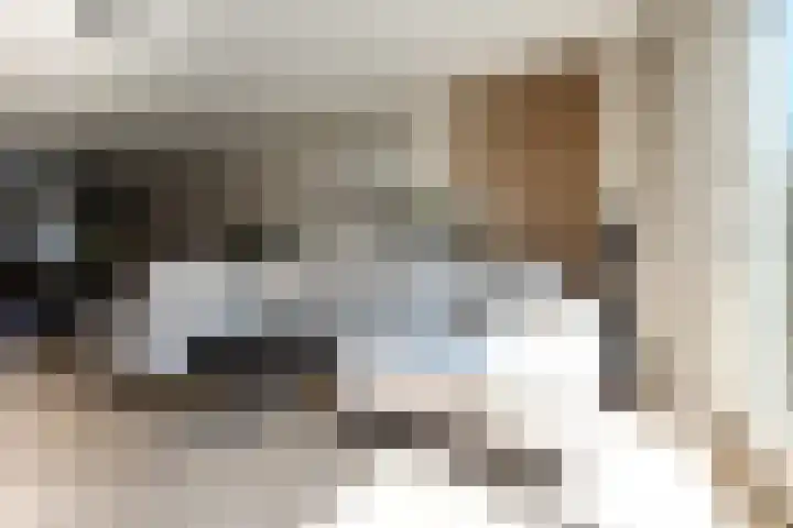 Bremstraat 5 Berkel en Rodenrijs thumbnail 11