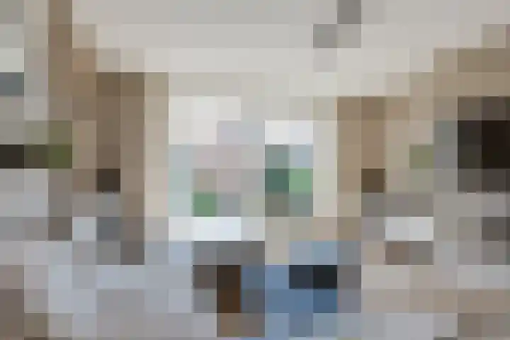 Bremstraat 5 Berkel en Rodenrijs thumbnail 12