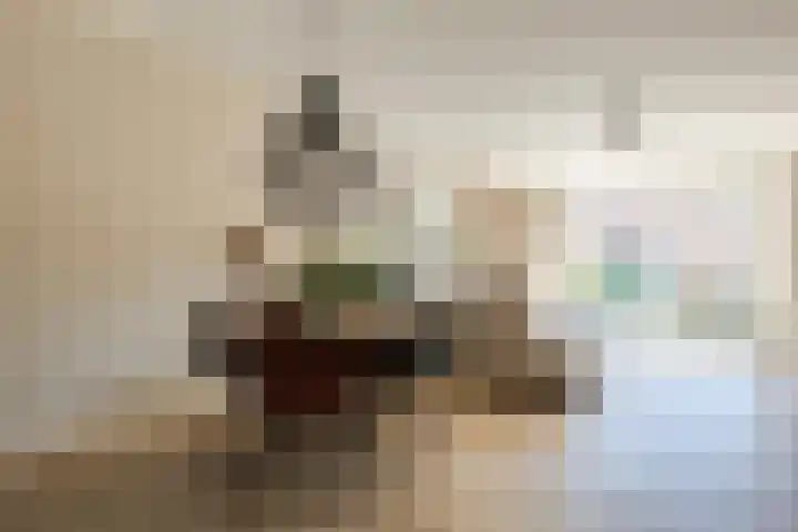 Bremstraat 5 Berkel en Rodenrijs thumbnail 14