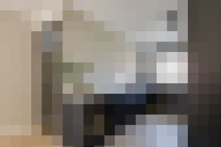 Bremstraat 5 Berkel en Rodenrijs thumbnail 17