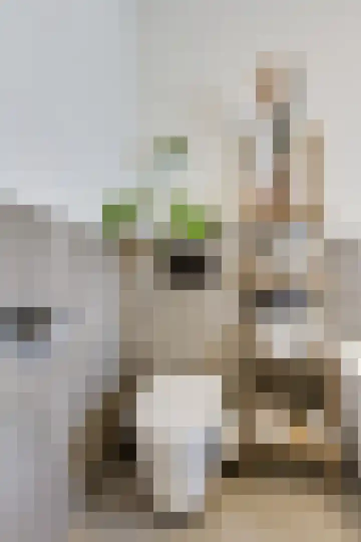 Bremstraat 5 Berkel en Rodenrijs thumbnail 30