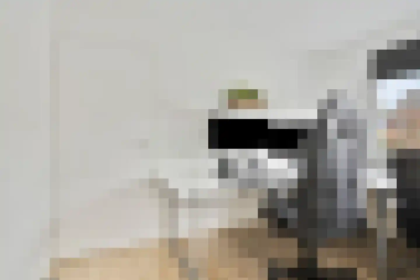Bremstraat 5 Denekamp thumbnail 15
