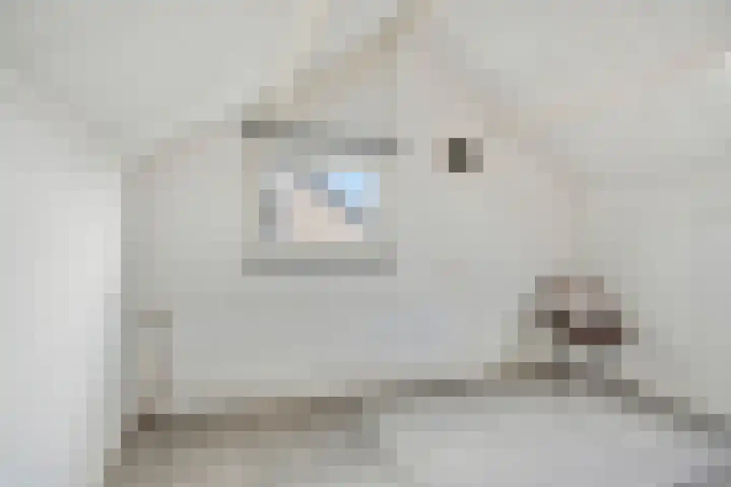 Bremstraat 5 Denekamp thumbnail 21