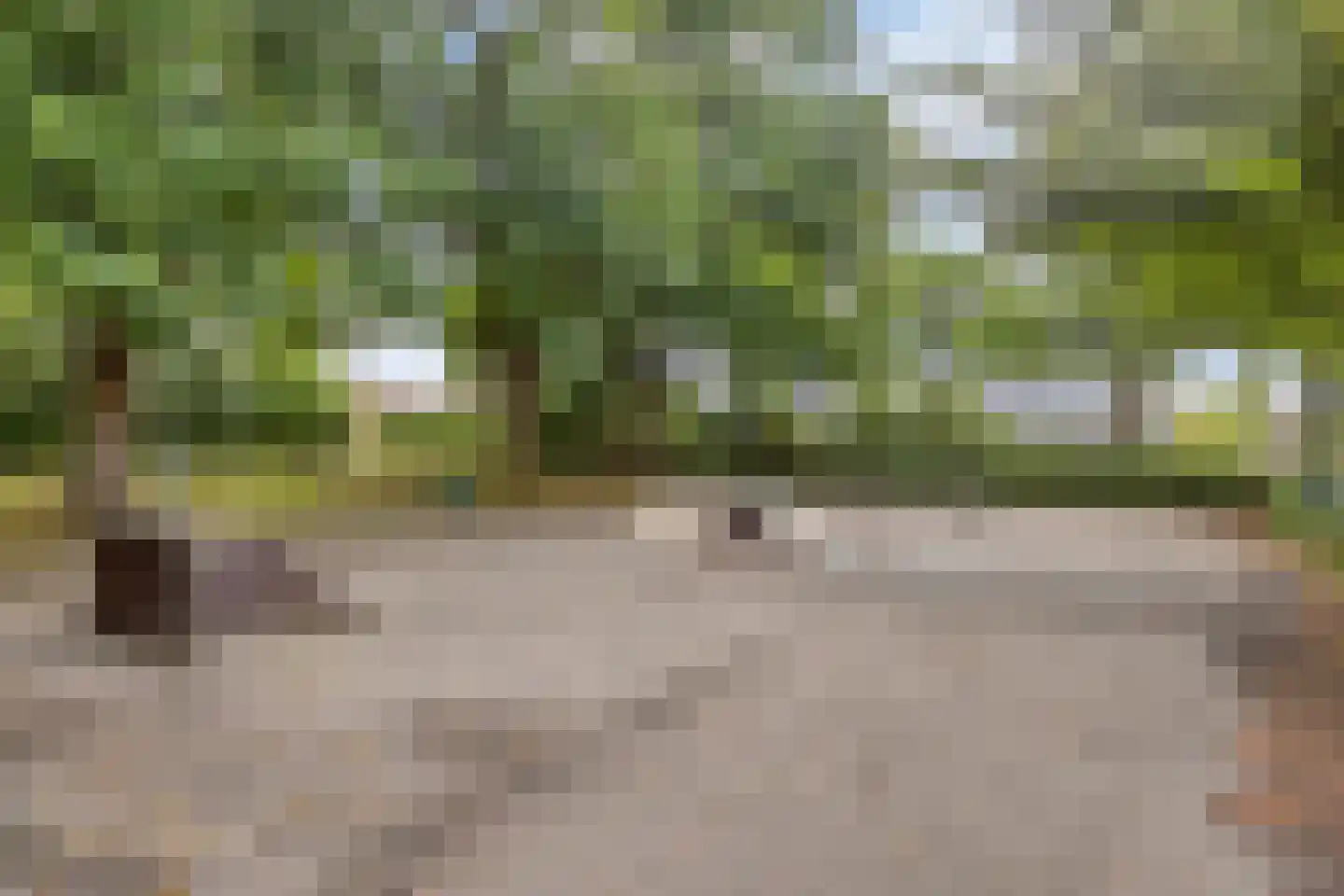 Bremstraat 5 Denekamp thumbnail 29