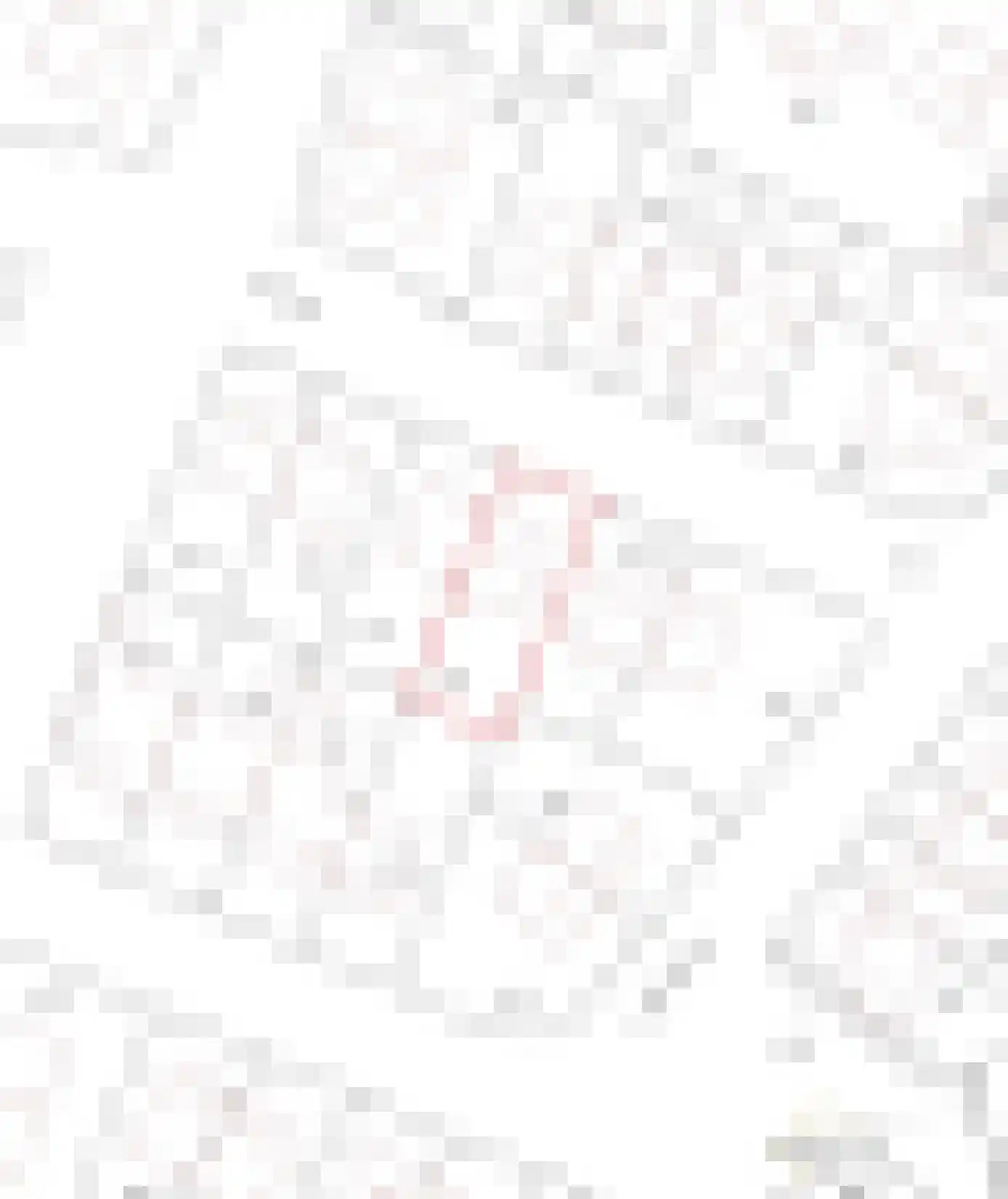 Bremstraat 5 Denekamp thumbnail 33