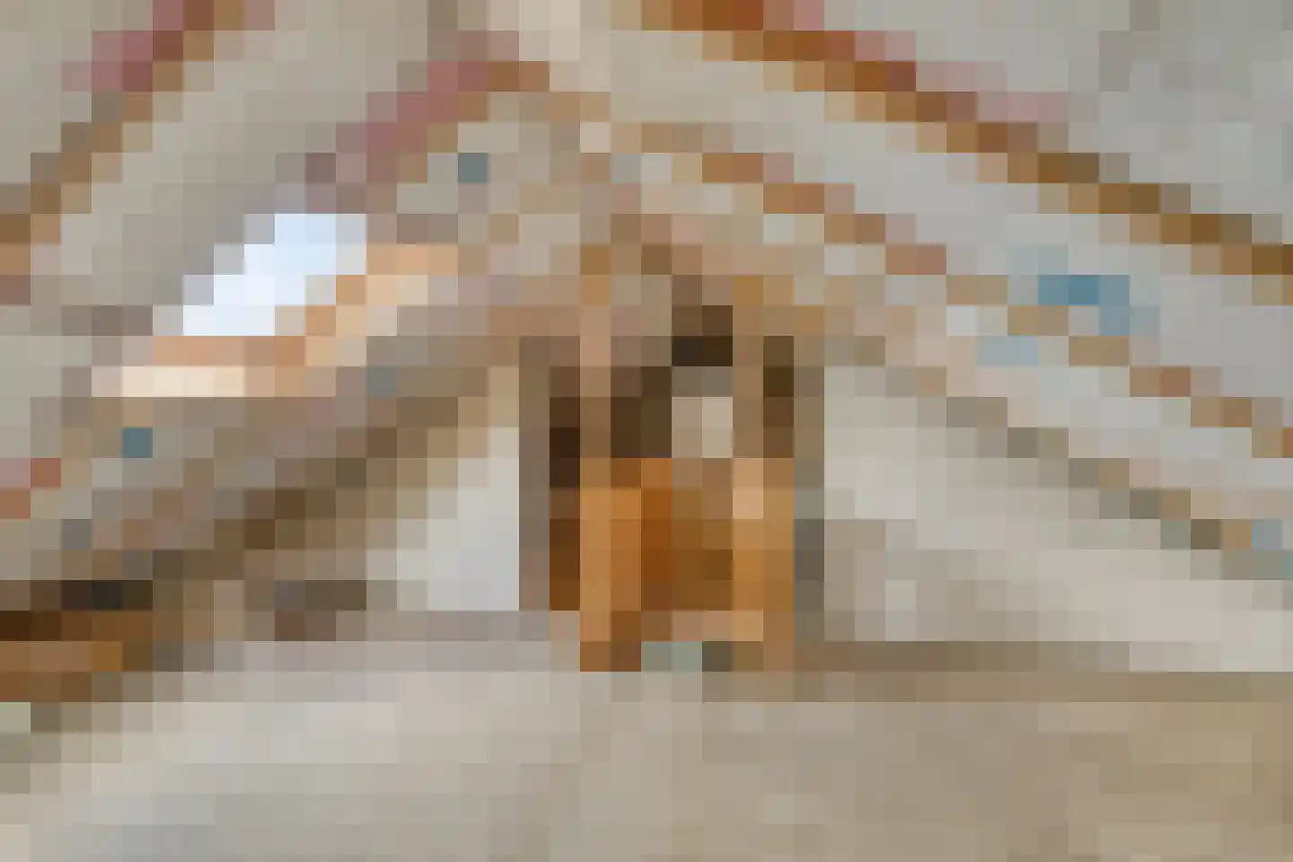 Bremstraat 50 Groesbeek thumbnail 32