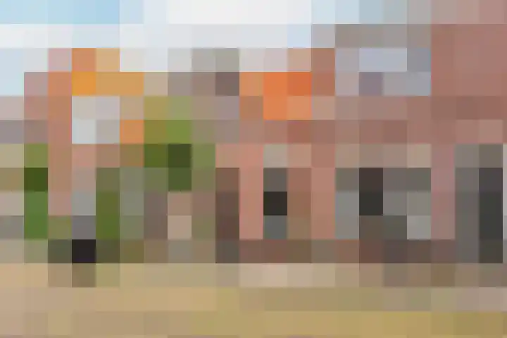 Bremstraat 55 Utrecht thumbnail 8