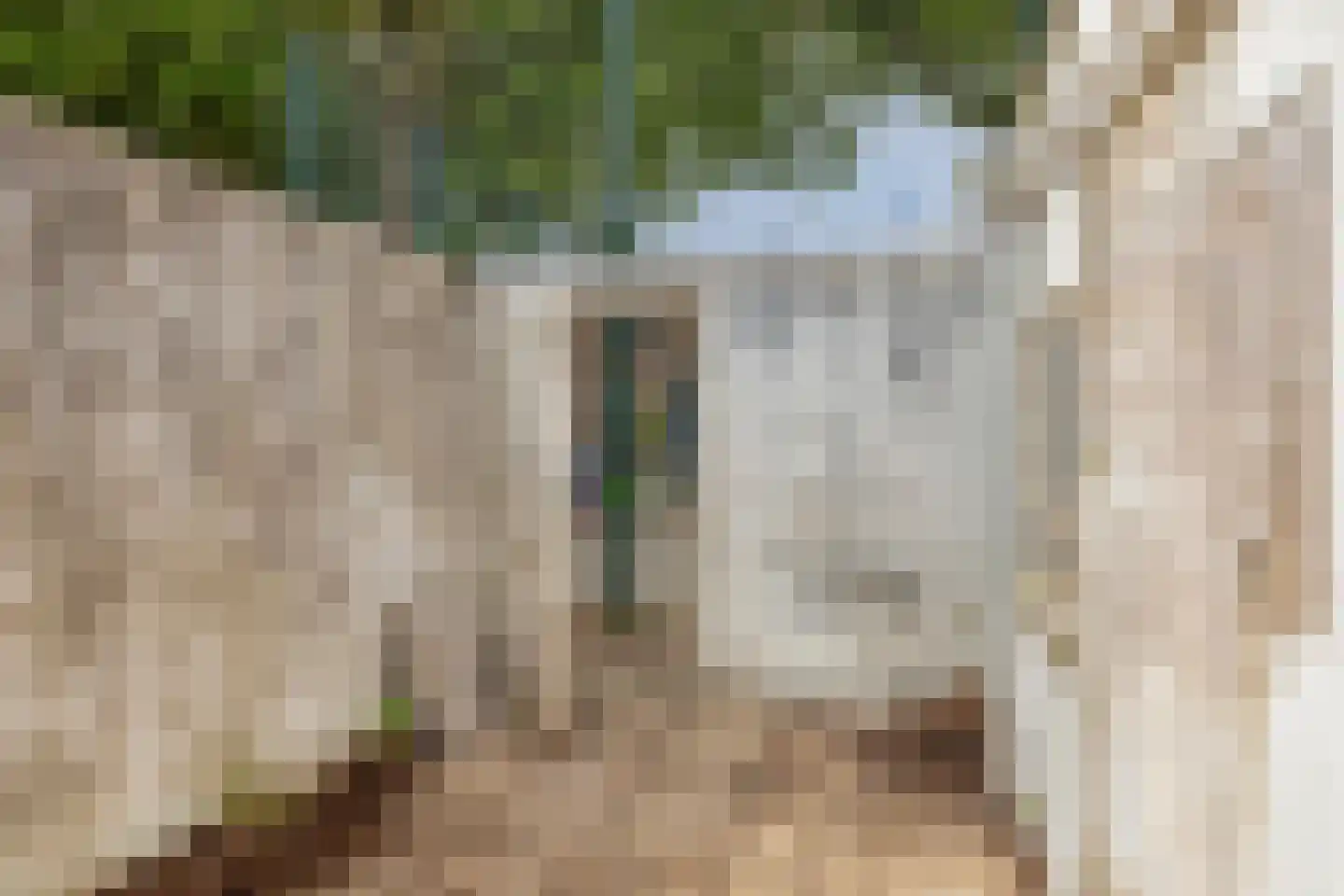 Bremstraat 56 Utrecht thumbnail 13