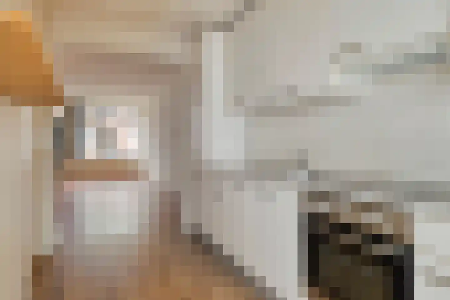 Bremstraat 56 Utrecht thumbnail 5