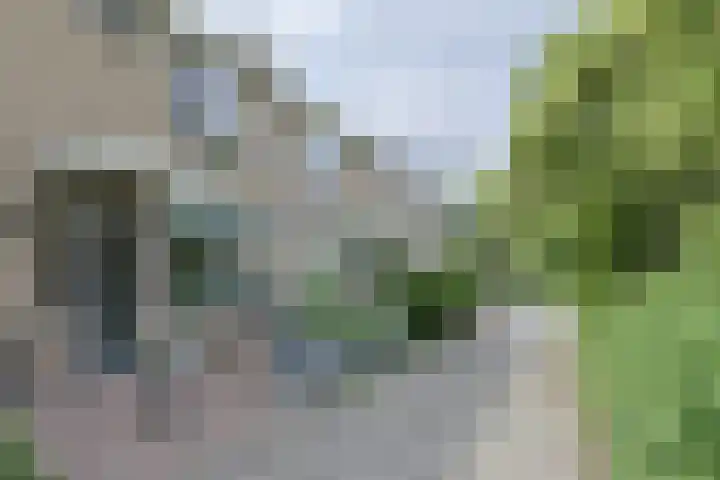 Bremstraat 58 in Alphen aan den Rijn