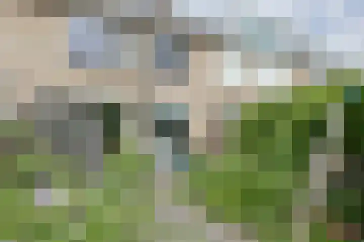 Bremstraat 58 Alphen aan den Rijn thumbnail 42