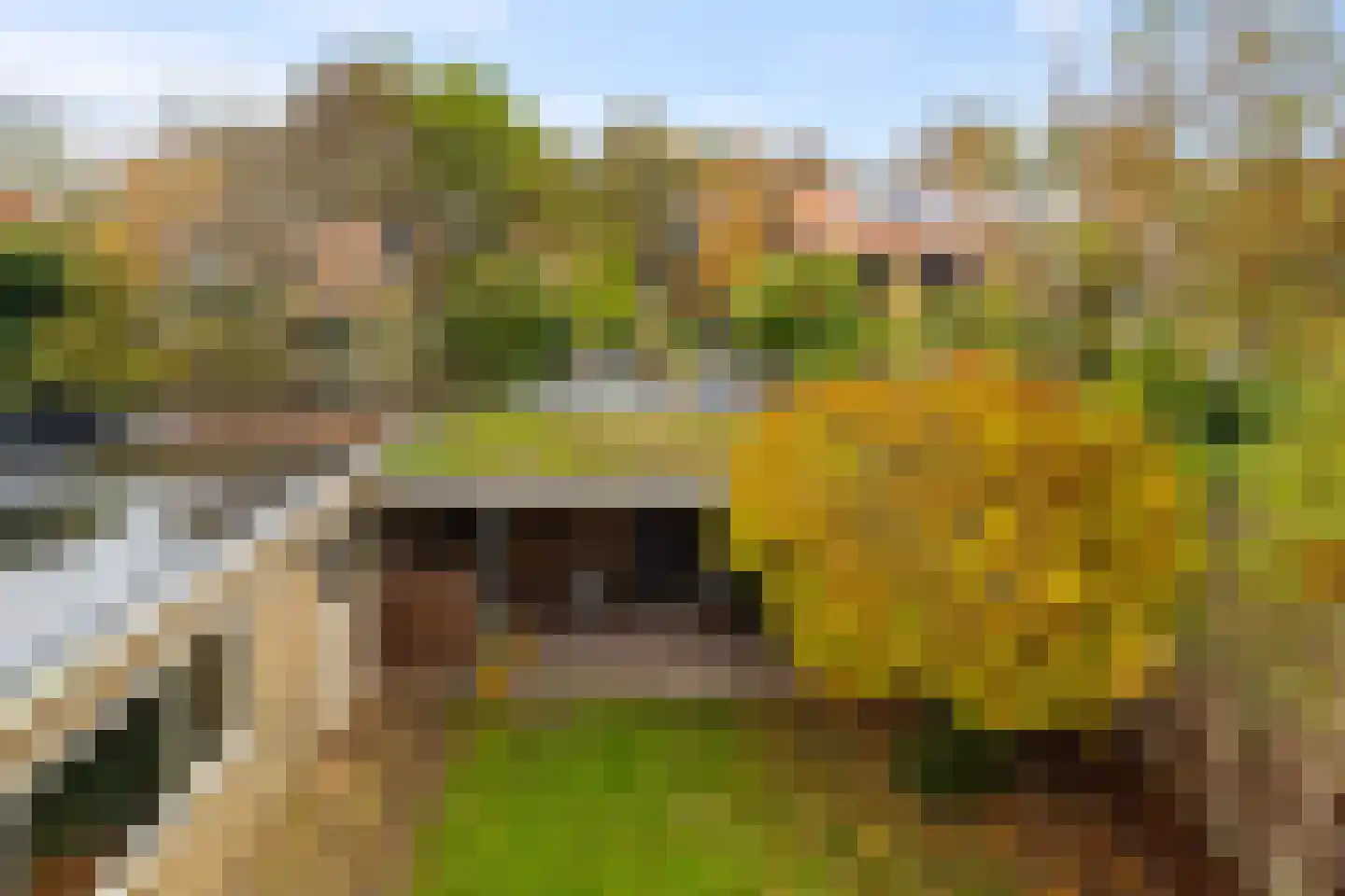 Bremstraat 6 Den Helder thumbnail 24