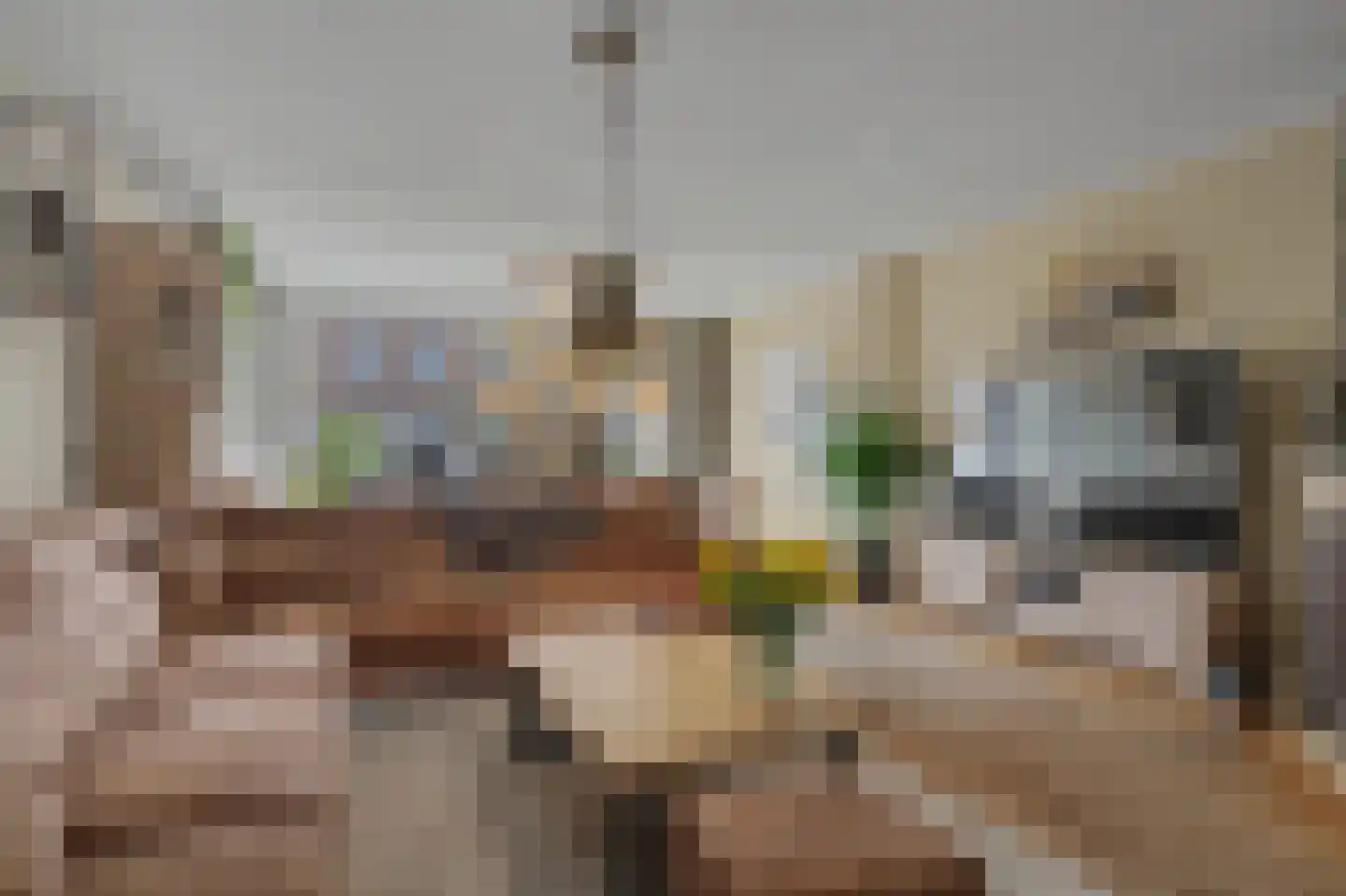 Bremstraat 6 Klaaswaal thumbnail 10