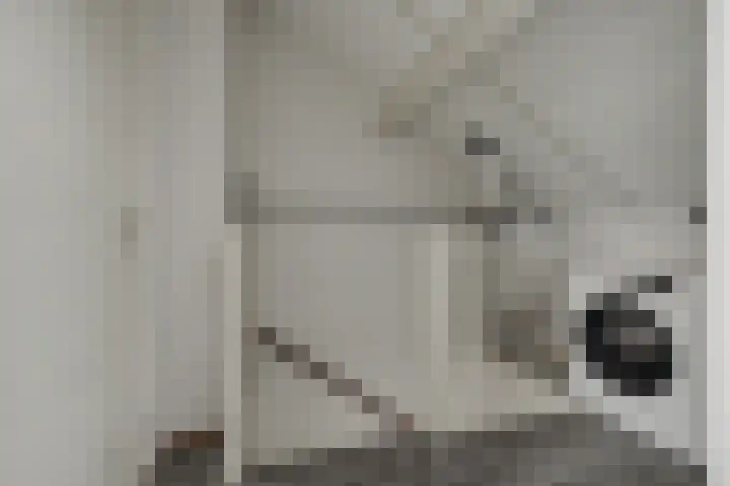 Bremstraat 6 Klaaswaal thumbnail 21