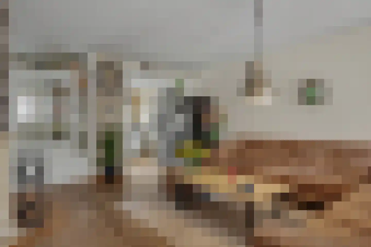 Bremstraat 6 Klaaswaal thumbnail 9
